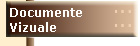 documente vizuale